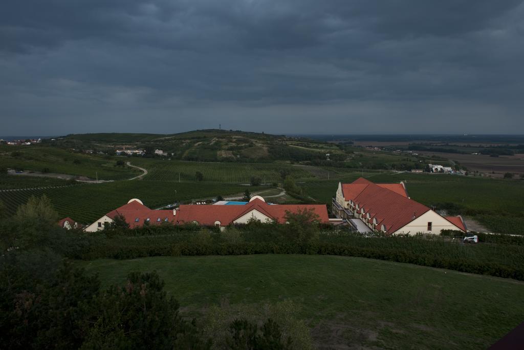 Vinarstvi U Kaplicky 호텔 Zaječí 객실 사진
