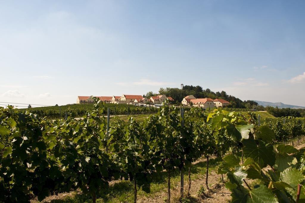 Vinarstvi U Kaplicky 호텔 Zaječí 외부 사진